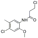 3-CHLORO-N-(4-CHLORO-2-METHOXY-5-METHYLPHENYL)PROPANAMIDE