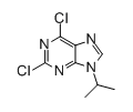 2,6-二氯-9-异丙基-9H-嘌呤