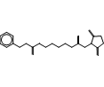 N-Dihydrocinnamoylaminocaproic Acid N-Hydroxysuccinimide Ester