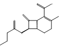 N-Ethoxycarbonyl 7-ADCA