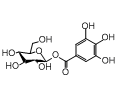 β-Glucogalin