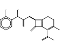 2-Hydroxy Cephalexin