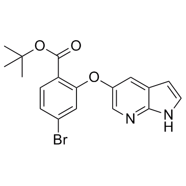 叔丁基2 - ((1H-吡咯并[2,3-b]吡啶-5-基)氧基)-4-溴苯甲酸酯