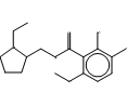 IBZM