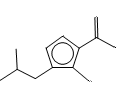 5-(2-Isobutyl)-4-amino-1H-pyrazole-3-carboxylic Acid