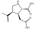 (-)-α-Kainic Acid