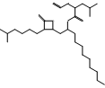 5-Methylhexyl Orlistat Decyl Ester