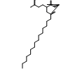 N-(1-Oxohexadecyl)-L-glutaMic Acid 1-(1,1-DiMethylethyl) Ester