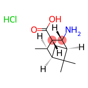 (1R,2R,3S,4R,5R)-2-AMINO-4,6,6-TRIMETHYLBICYCLO[3.1.1]HEPTANE-3-CARBOXYLIC ACID HYDROCHLORIDE