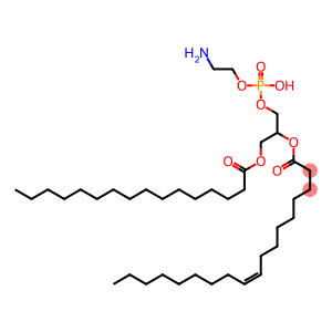 1-palmitoyl-2-oleoylphosphatidylethanolamine