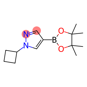 1-Cyclobutyl-4-(4,4,5,5-tetramethyl-1,3,2-dioxaborolan-2-yl)