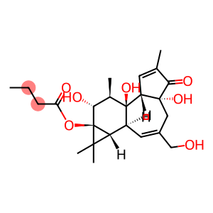 PHORBOL 13-BUTYRATE, 4BETA