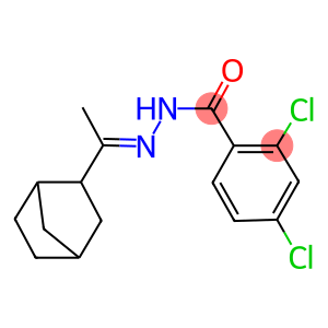 N'-(1-bicyclo[2.2.1]hept-2-ylethylidene)-2,4-dichlorobenzohydrazide