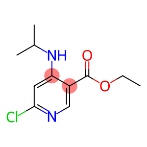 ethyl 6-chloro-4-(isopropylamino)nicotinate
