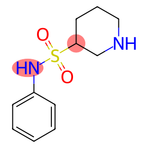 N-phenylpiperidine-3-sulfonamide