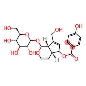 Derwentioside B