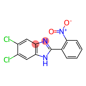 1H-Benzimidazole,5,6-dichloro-2-(2-nitrophenyl)-
