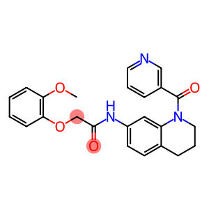 2-(2-methoxyphenoxy)-N-[1-(pyridin-3-ylcarbonyl)-1,2,3,4-tetrahydroquinolin-7-yl]acetamide