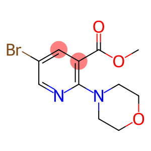 Methyl 5-bromo-2-morpholinonicotinate