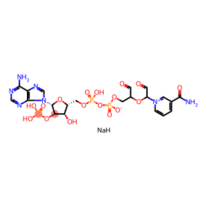 BETA-NICOTINAMIDE ADENINE DINUCLEOTIDE PHOSPHATE, PERIODATE OXIDIZED SODIUM SALT