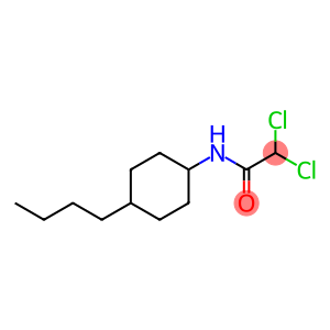 Acetamide,N-(4-butylcyclohexyl)-2,2-dichloro-