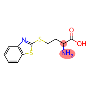 S-2-Benzothiazolyl-L-homocysteine