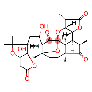 Schindilactone E