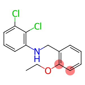 2,3-Dichloro-N-(2-ethoxybenzyl)aniline