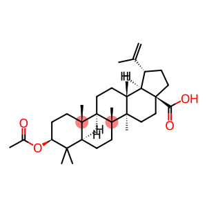 3BETA-ACETOXYBETULINIC ACID