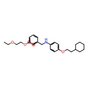 N-[4-(2-Cyclohexylethoxy)phenyl]-N-[3-(2-ethoxyethoxy)benzyl]amine