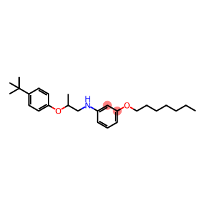 N-{2-[4-(tert-Butyl)phenoxy]propyl}-3-(heptyloxy)aniline