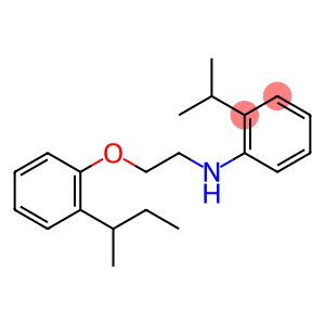 N-{2-[2-(sec-Butyl)phenoxy]ethyl}-2-isopropylaniline