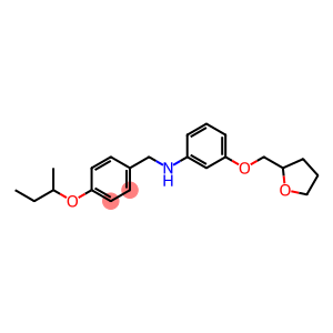 N-[4-(sec-Butoxy)benzyl]-3-(tetrahydro-2-furanylmethoxy)aniline