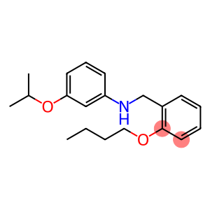 N-(2-Butoxybenzyl)-3-isopropoxyaniline