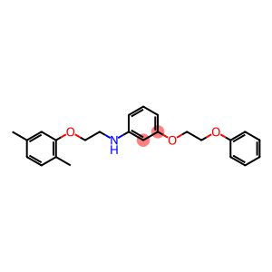 N-[2-(2,5-Dimethylphenoxy)ethyl]-3-(2-phenoxyethoxy)aniline