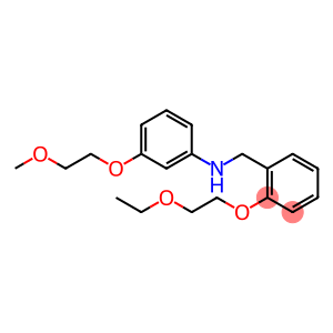 N-[2-(2-Ethoxyethoxy)benzyl]-3-(2-methoxyethoxy)aniline