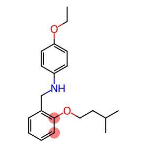 4-Ethoxy-N-[2-(isopentyloxy)benzyl]aniline