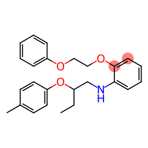 N-[2-(4-Methylphenoxy)butyl]-2-(2-phenoxyethoxy)aniline