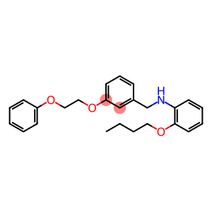 2-Butoxy-N-[3-(2-phenoxyethoxy)benzyl]aniline