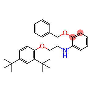 2-(Benzyloxy)-N-{2-[2,4-di(tert-butyl)phenoxy]-ethyl}aniline