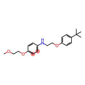 N-{2-[4-(tert-Butyl)phenoxy]ethyl}-4-(2-methoxyethoxy)aniline