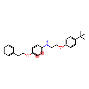 N-{2-[4-(tert-Butyl)phenoxy]ethyl}-4-(phenethyloxy)aniline