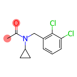 N-环丙基-N-(2,3-二氯苄基)乙酰胺