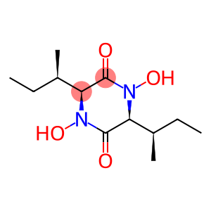 TERRAMIDEA