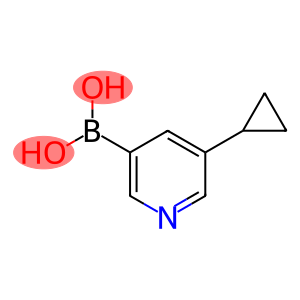 5-Cyclopropylpyridin-3-ylboronic acid