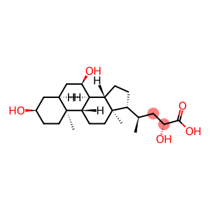 phocaecholic acid