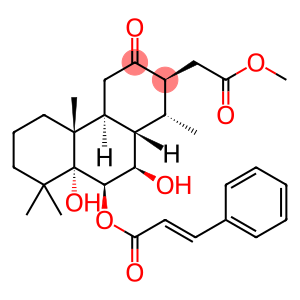 pulcherralpin