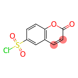 香豆素-6-磺酰氯