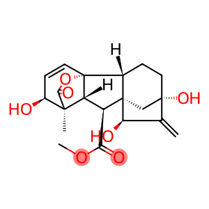 15β-OH Gibberellin A3 Methyl Ester