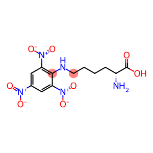 trinitrobenzoylated polylysine